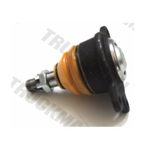 4237-SKU-403-2904058
